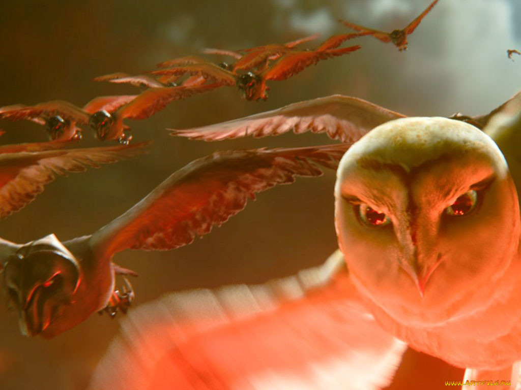 , , , legend, of, the, guardians, owls, gahoole